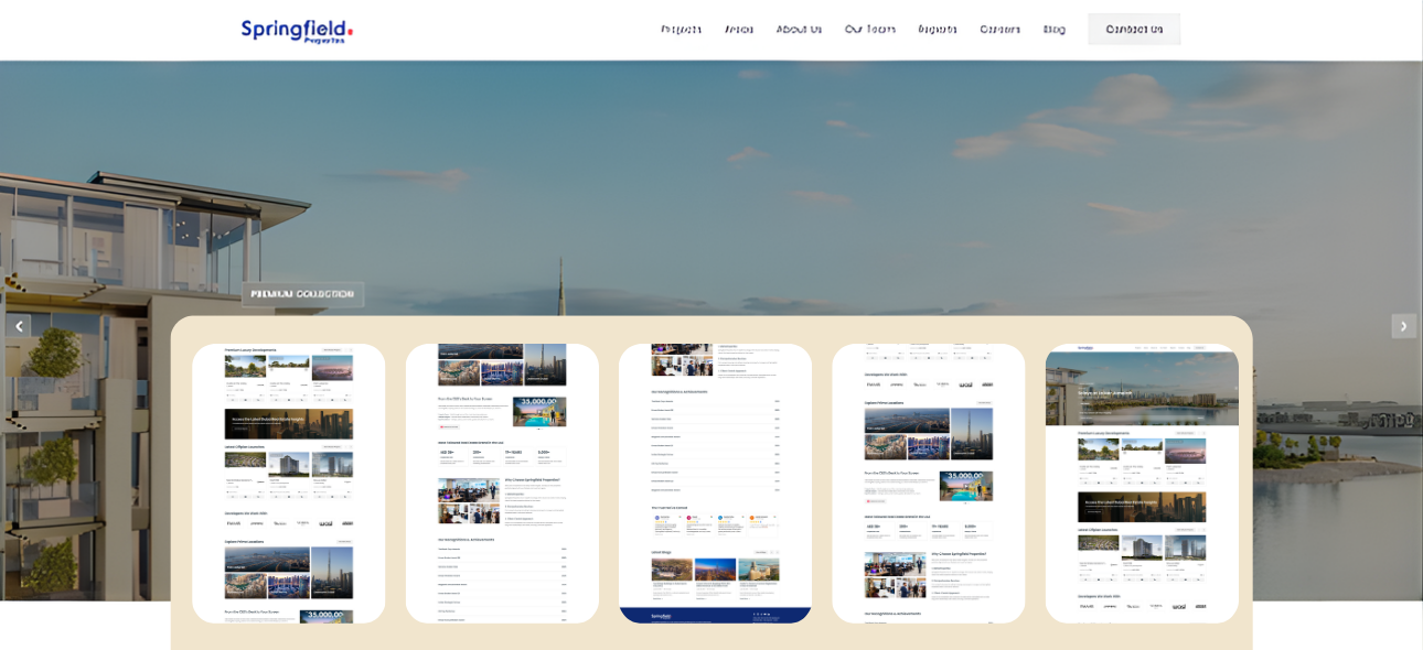 Springfield luxury real estate website design